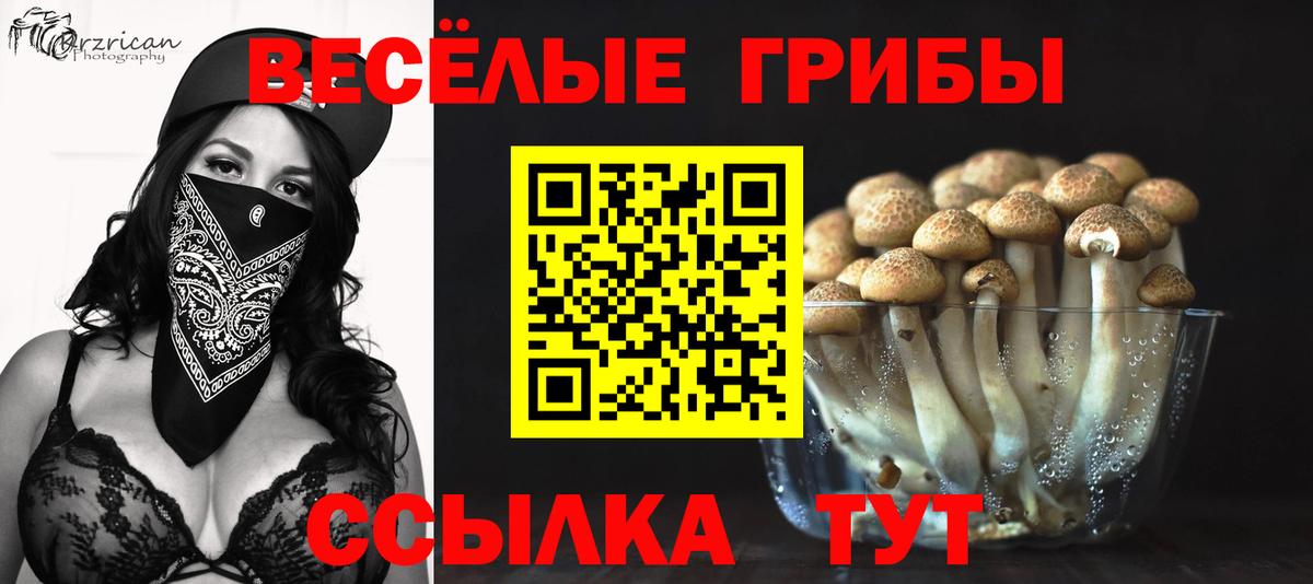 Галлюциногенные грибы мухоморы Георгиевск