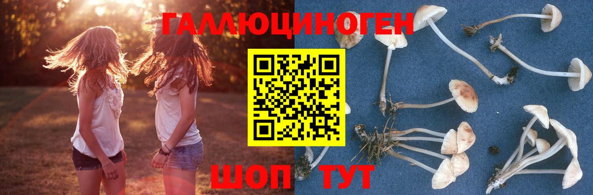 Георгиевск  Псилоцибиновые грибы ЛСД  Вход с VPN 